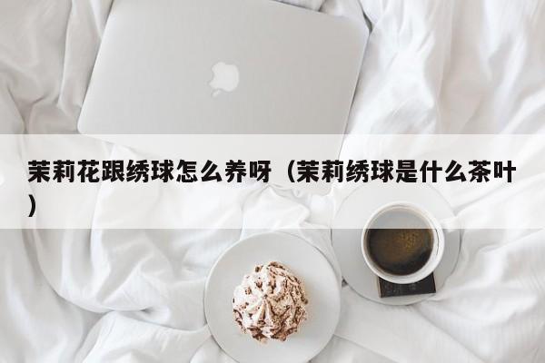 茉莉花跟绣球怎么养呀（茉莉绣球是什么茶叶）