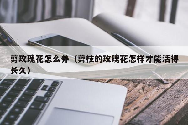 剪玫瑰花怎么养（剪枝的玫瑰花怎样才能活得长久）