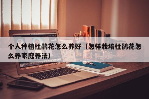 个人种植杜鹃花怎么养好（怎样栽培杜鹃花怎么养家庭养法）