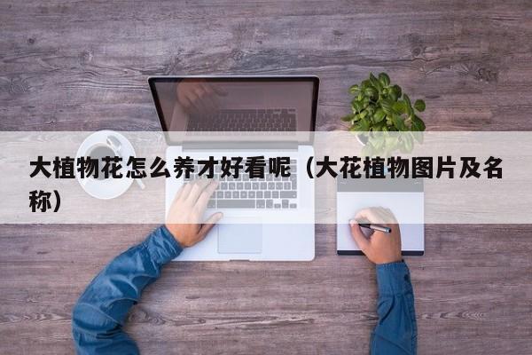 大植物花怎么养才好看呢（大花植物图片及名称）