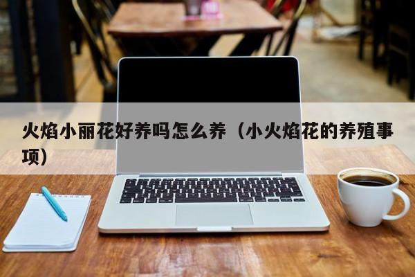 火焰小丽花好养吗怎么养（小火焰花的养殖事项）