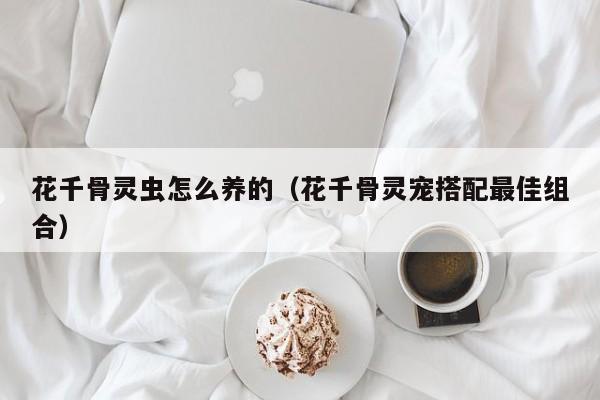 花千骨灵虫怎么养的（花千骨灵宠搭配最佳组合）
