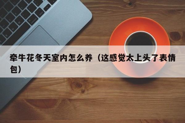 牵牛花冬天室内怎么养（这感觉太上头了表情包）