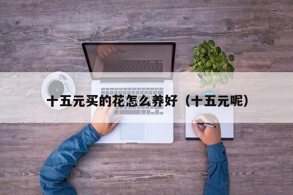 十五元买的花怎么养好（十五元呢）