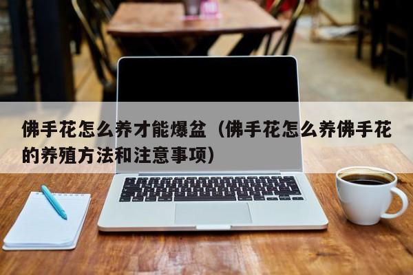 佛手花怎么养才能爆盆（佛手花怎么养佛手花的养殖方法和注意事项）