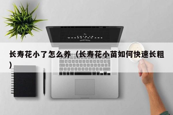 长寿花小了怎么养（长寿花小苗如何快速长粗）