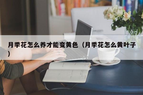 月季花怎么养才能变黄色（月季花怎么黄叶子）