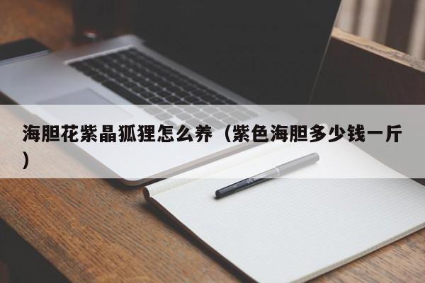 海胆花紫晶狐狸怎么养（紫色海胆多少钱一斤）