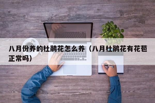 八月份养的杜鹃花怎么养（八月杜鹃花有花苞正常吗）
