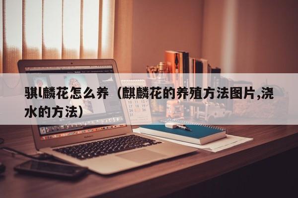 骐l麟花怎么养（麒麟花的养殖方法图片,浇水的方法）