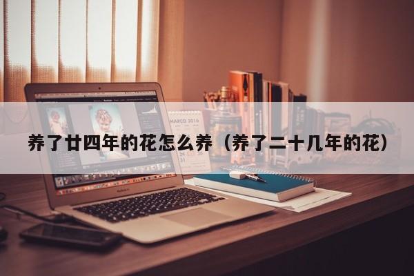 养了廿四年的花怎么养（养了二十几年的花）