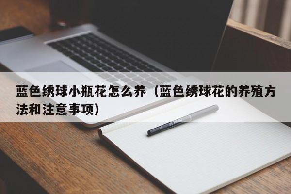 蓝色绣球小瓶花怎么养（蓝色绣球花的养殖方法和注意事项）