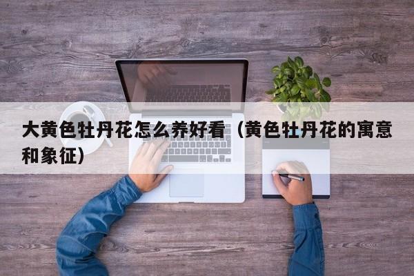 大黄色牡丹花怎么养好看（黄色牡丹花的寓意和象征）