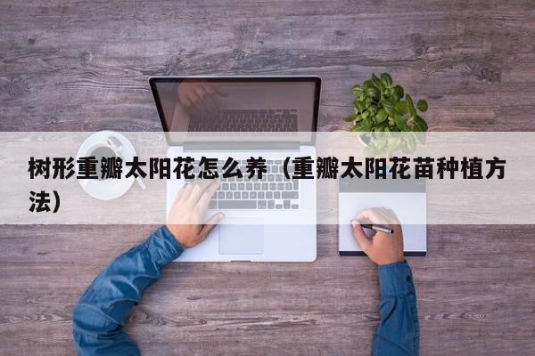 树形重瓣太阳花怎么养（重瓣太阳花苗种植方法）