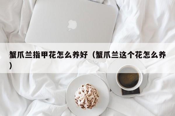 蟹爪兰指甲花怎么养好（蟹爪兰这个花怎么养）