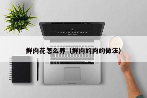 鲜肉花怎么养（鲜肉的肉的做法）
