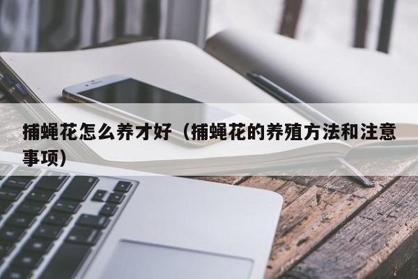 捕蝇花怎么养才好（捕蝇花的养殖方法和注意事项）
