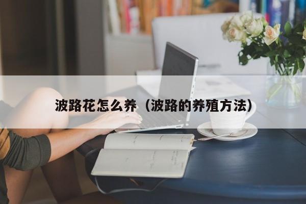 波路花怎么养（波路的养殖方法）