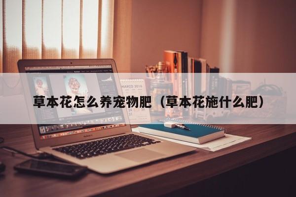 草本花怎么养宠物肥（草本花施什么肥）