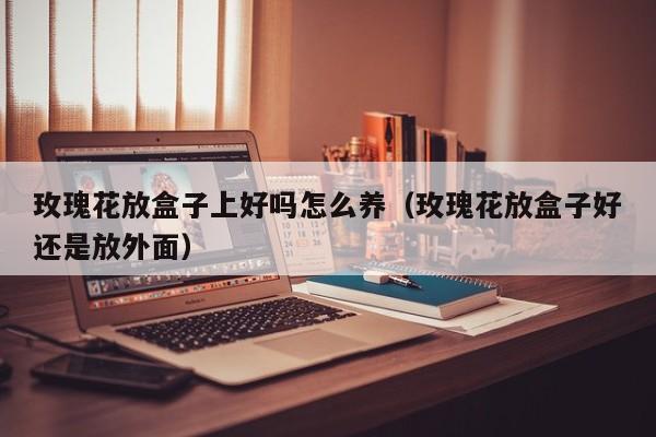 玫瑰花放盒子上好吗怎么养（玫瑰花放盒子好还是放外面）