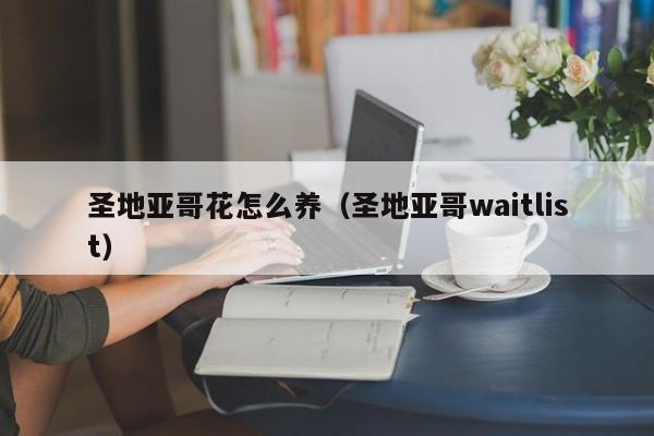 圣地亚哥花怎么养（圣地亚哥waitlist）