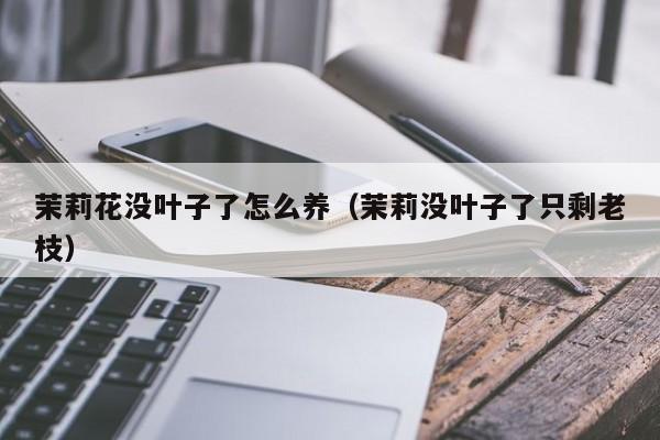 茉莉花没叶子了怎么养（茉莉没叶子了只剩老枝）