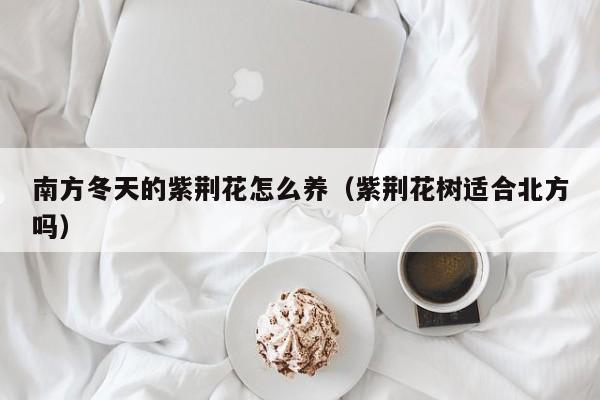南方冬天的紫荆花怎么养（紫荆花树适合北方吗）