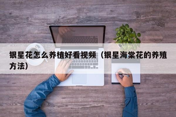 银星花怎么养植好看视频（银星海棠花的养殖方法）