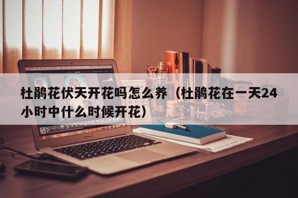 杜鹃花伏天开花吗怎么养（杜鹃花在一天24小时中什么时候开花）