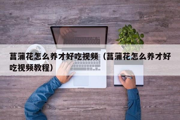 菖蒲花怎么养才好吃视频（菖蒲花怎么养才好吃视频教程）