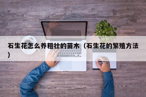 石生花怎么养粗壮的苗木（石生花的繁殖方法）