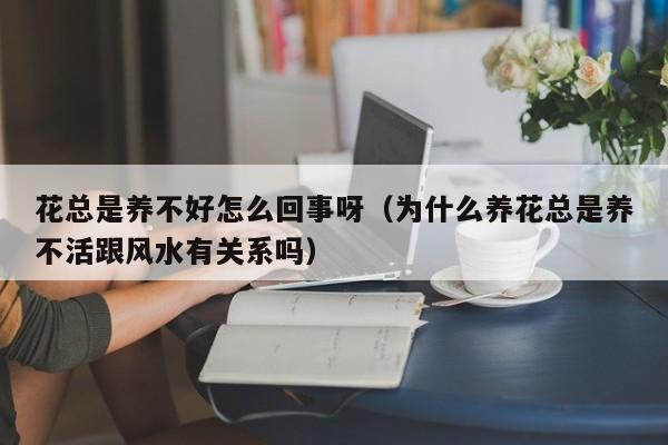 花总是养不好怎么回事呀（为什么养花总是养不活跟风水有关系吗）