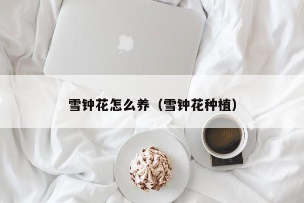 雪钟花怎么养（雪钟花种植）