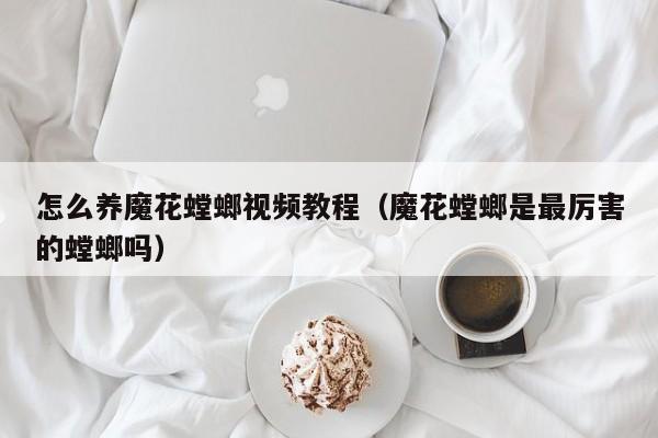 怎么养魔花螳螂视频教程（魔花螳螂是最厉害的螳螂吗）