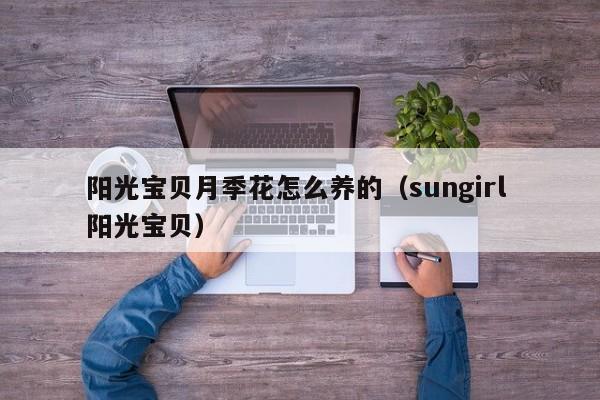 阳光宝贝月季花怎么养的(sungirl 阳光宝贝) 阳光宝贝月季花怎么养的(sungirl 阳光宝贝)