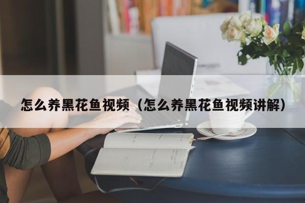 怎么养黑花鱼视频（怎么养黑花鱼视频讲解）