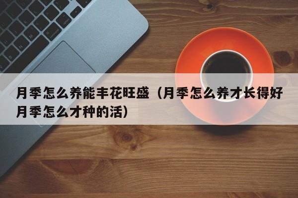 月季怎么养能丰花旺盛（月季怎么养才长得好月季怎么才种的活）