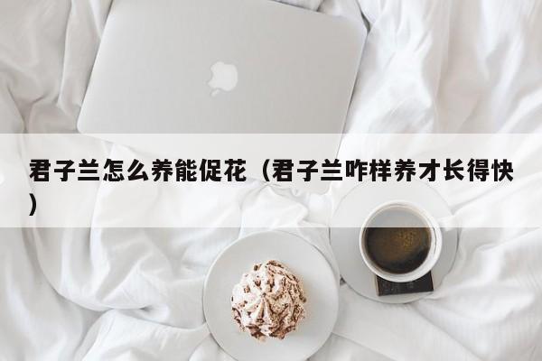 君子兰怎么养能促花（君子兰咋样养才长得快）