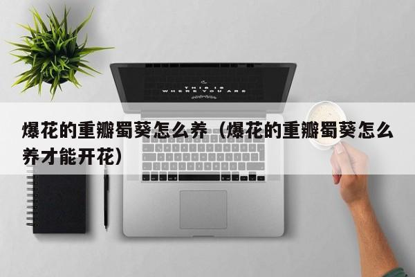 爆花的重瓣蜀葵怎么养（爆花的重瓣蜀葵怎么养才能开花）