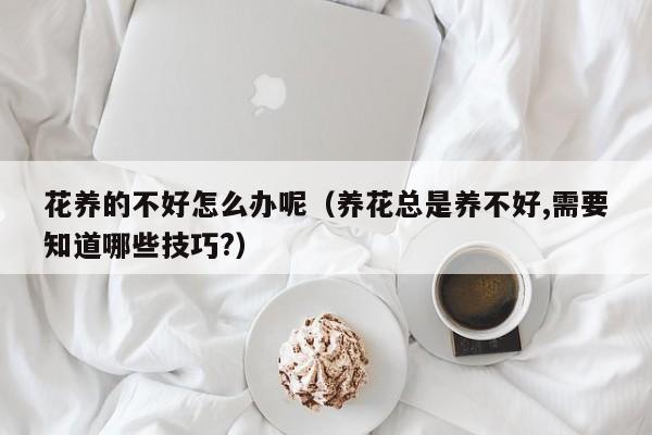 花养的不好怎么办呢（养花总是养不好,需要知道哪些技巧?）