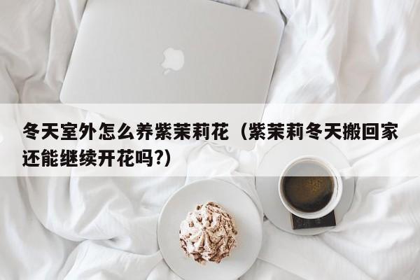 冬天室外怎么养紫茉莉花（紫茉莉冬天搬回家还能继续开花吗?）