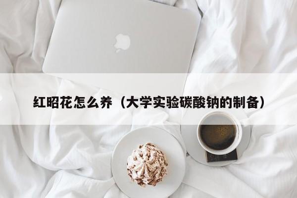 红昭花怎么养（大学实验碳酸钠的制备）