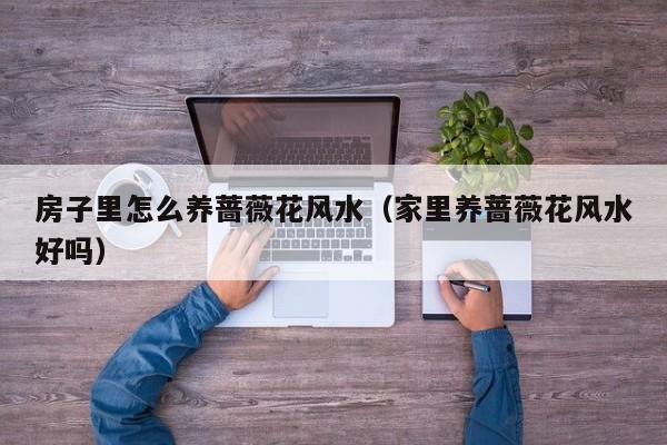 房子里怎么养蔷薇花风水（家里养蔷薇花风水好吗）
