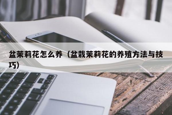 盆茉莉花怎么养（盆栽茉莉花的养殖方法与技巧）