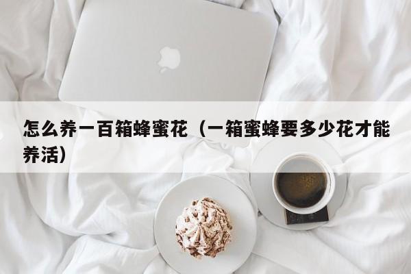 怎么养一百箱蜂蜜花（一箱蜜蜂要多少花才能养活）