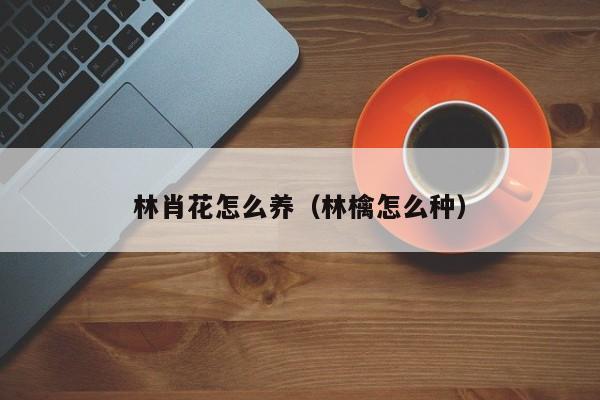 林肖花怎么养（林檎怎么种）