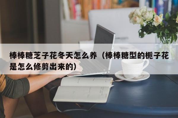 棒棒糖芝子花冬天怎么养（棒棒糖型的栀子花是怎么修剪出来的）