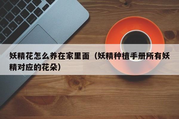 妖精花怎么养在家里面（妖精种植手册所有妖精对应的花朵）