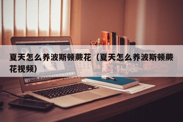 夏天怎么养波斯顿蕨花（夏天怎么养波斯顿蕨花视频）
