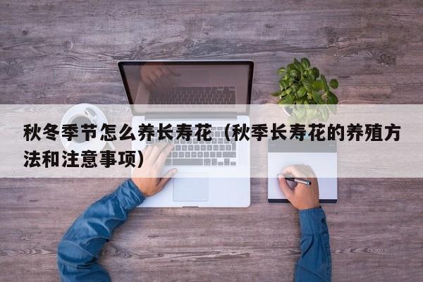 秋冬季节怎么养长寿花（秋季长寿花的养殖方法和注意事项）